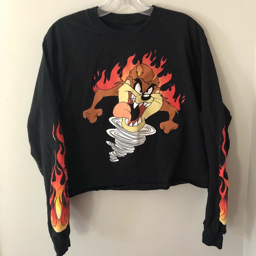 Long sleeved cropped top from Forever 21